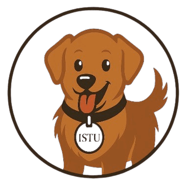 ISTU DOG DAY CARE